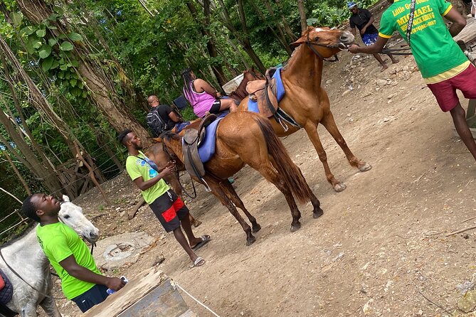 Private Horseback Riding with Blue Hole River Tour in Montego Bay - Blue Hole brings the more active hour