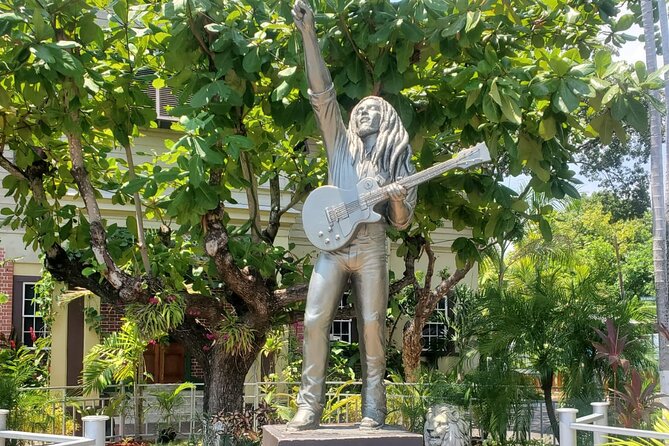 Private Kingston and Bob Marley Museum Tour from Falmouth - Fern Gully turns the drive into part of the tour