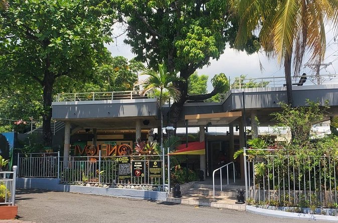 Private Kingston and Bob Marley Museum Tour from Falmouth - Price and value depend on your pickup point