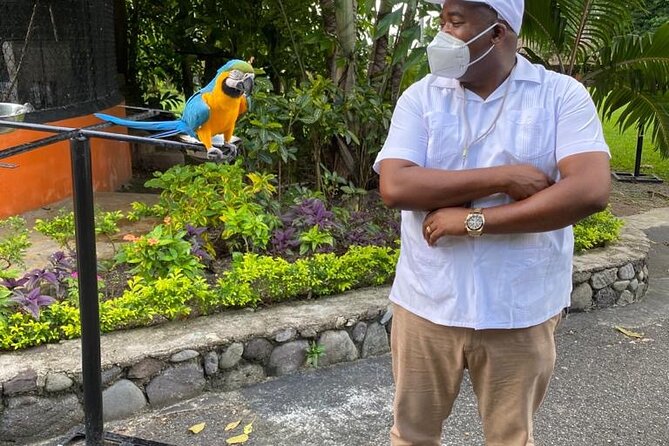 Private Konoko Falls and Blue Hole Combo Tour from Ocho Rios - The drive from Ocho Rios to the countryside