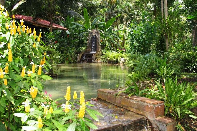 Private Konoko Falls and Blue Hole Combo Tour from Ocho Rios - Food, drinks, and what the price covers