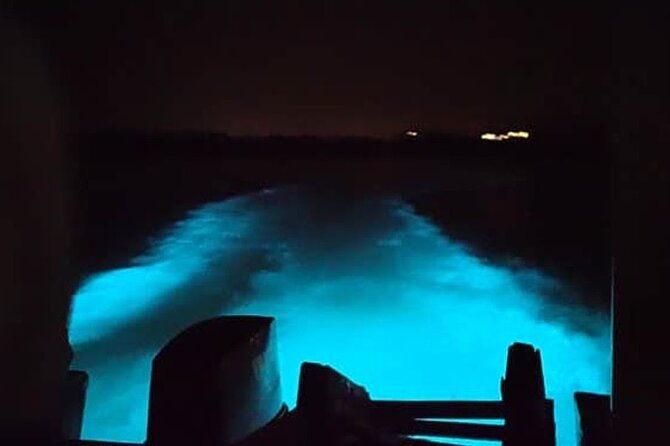 Private Luminous Blue Lagoon Night Tour in Falmouth - Your private ride from Montego Bay