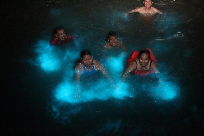 Private Luminous Blue Lagoon Night Tour in Falmouth - Timing, weather, and the practical details