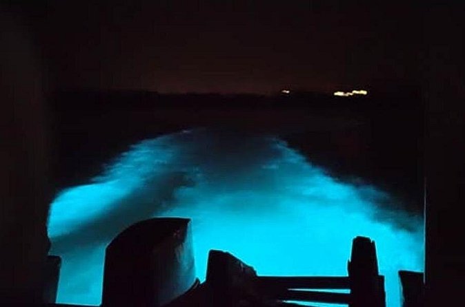 Private Luminous Blue Lagoon Night Tour in Falmouth - Who will enjoy this tour most