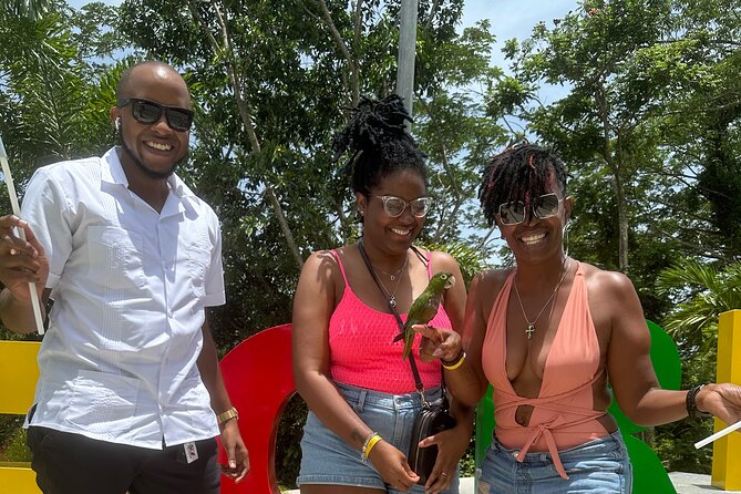 Private MBJ Airport Transfers to Hotels in Jamaica (Round Trip) - Who will get the most from this transfer