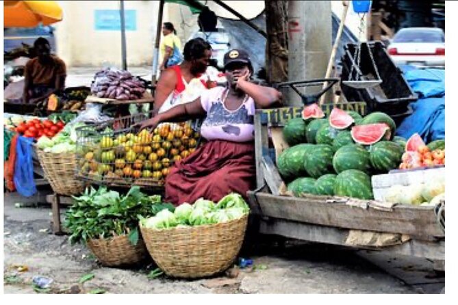 Private Montego Bay City Tour with Sightseeing and Shopping - Why the private vehicle matters in two hours