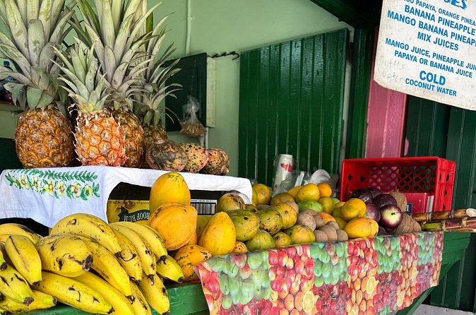 Private Montego Bay Customized Tour with Pickup and Guide - Who should book this Montego Bay outing?