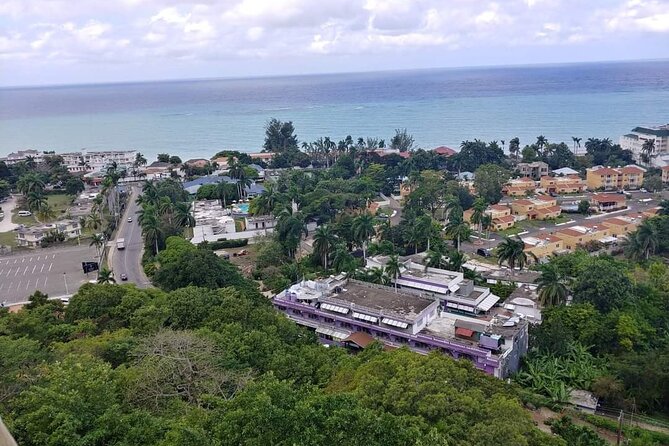 [PRIVATE] Montego Bay Highlights Tour - Key points at a glance