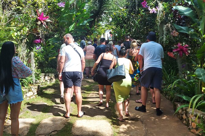 Private Nine Mile Tour from Montego Bay - Practical tips for a smoother visit