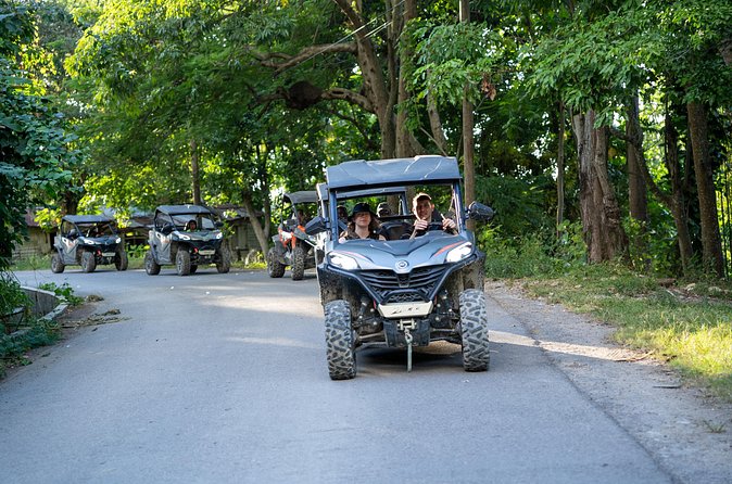 Private Rasta Safari Cultural UTV Village Experience - A vegan meal that helps justify the price