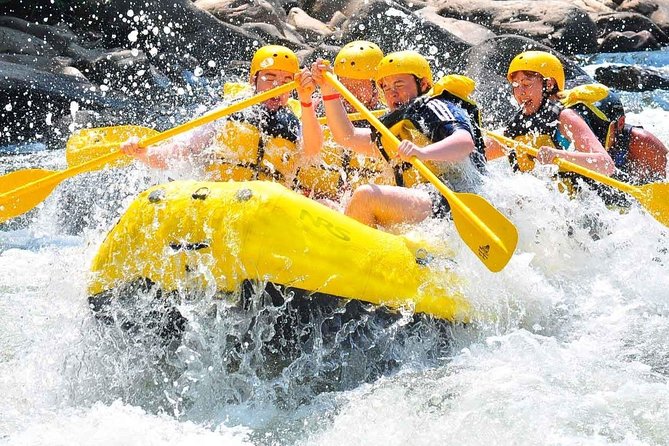 Private Rio Bueno River Adventure from Montego Bay - Key points to know before you book