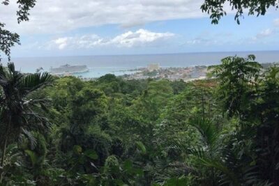 Private Sightseeing Tour in & Around Ocho Rios