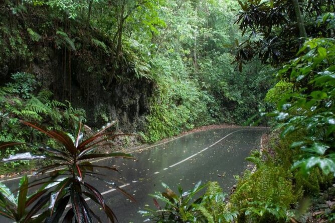 Private Sightseeing Tour in & Around Ocho Rios - A private route that can change with your interests