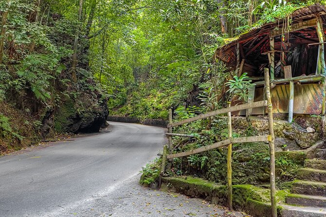 Private Sightseeing Tour in & Around Ocho Rios - Price, timing, and group size