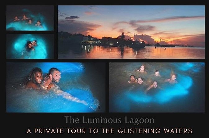 Private Tour in the Glistening Waters from Montego Bay - Who will enjoy this experience most