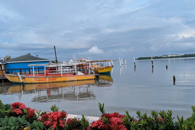 Private Tour in the Glistening Waters from Montego Bay - Timing, weather, and cancellation details