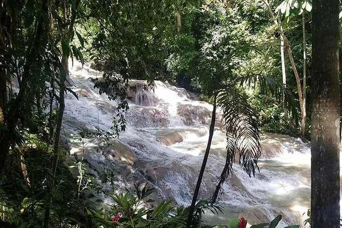 Private Tour Montego Bay To Blue Hole and Dunns River falls - Cancellation and booking details