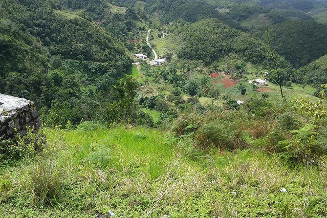 Private Tour Ocho Rios or Runaway Bay To 9 Mile Bob Marley Birth & Resting Place - Food, drinks, shopping, and small extras