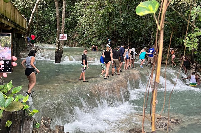 Private Tour To Blue Hole and Dunn’s River from Montego Bay - Who should book this outing
