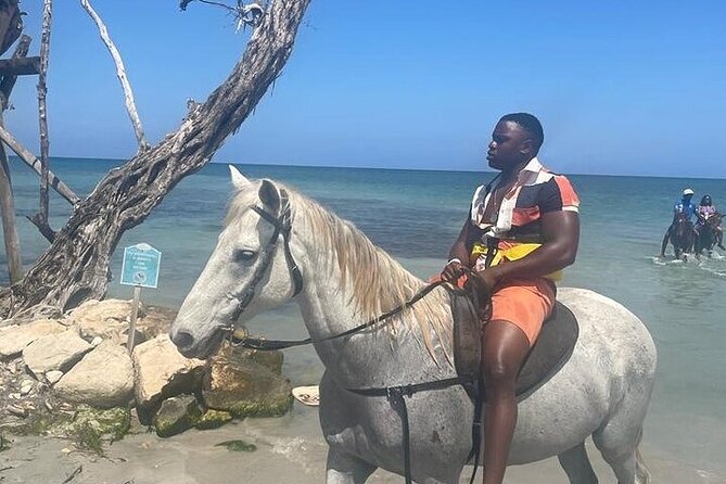Private Tour to Dunns River and Horseback Riding with Local Guide - Stops for food and souvenirs may be possible