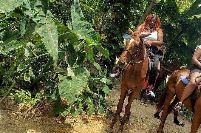 Private Tour to Dunns River and Horseback Riding with Local Guide - What the six-hour schedule means