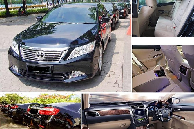 Private Transfer Montego Bay to Ocho Rios - Booking details worth checking before you fly