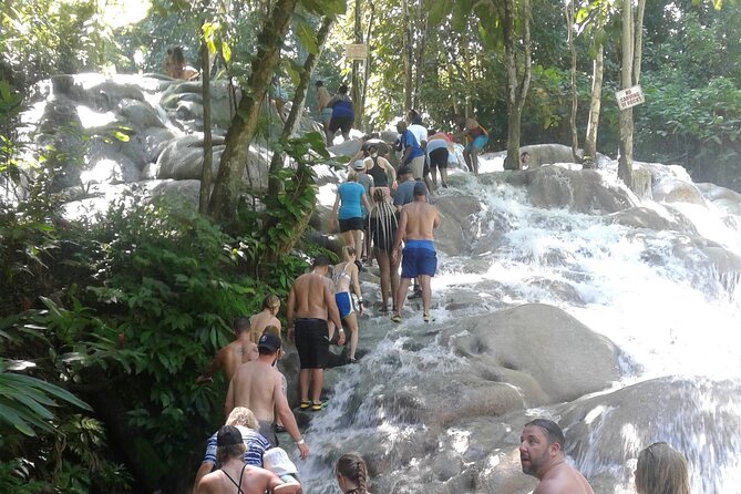 Private Transfer to Dunns River Blue Hole Tubing from Montego Bay - Three Jamaican water stops from Montego Bay