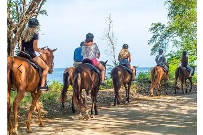 Private Transport and Airport Transfer in Montego Bay - Loading Bags and Getting Settled