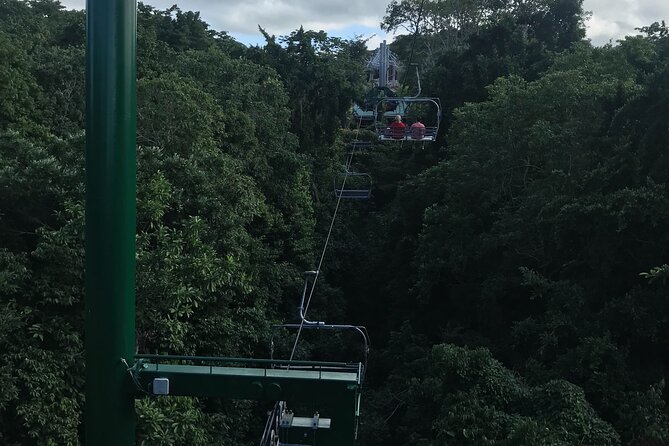 Private Transportation from Montego Bay to Mystic Mountain and Dunn's River Fall - A realistic look at the value