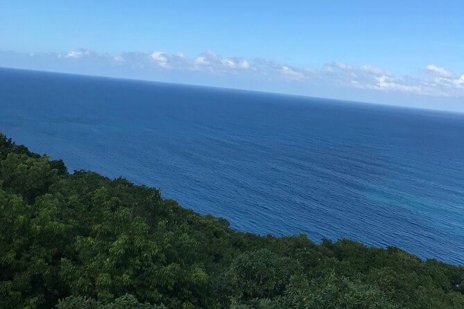Private Transportation from Montego Bay to Mystic Mountain and Dunn's River Fall - Who should book this experience?