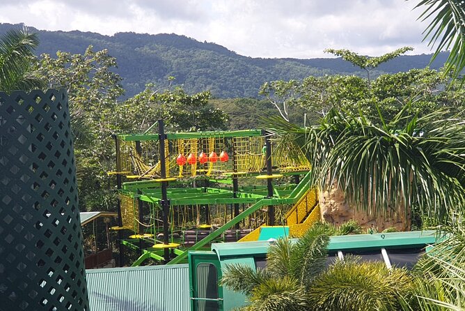 Private Transportation from Montego Bay to Mystic Mountain and Dunn's River Fall - Dunn’s River Falls: the wet climb