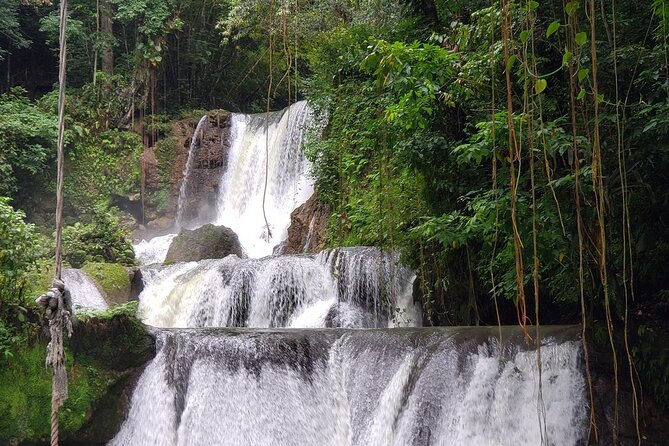 [PRIVATE] YS Falls, Black River, Pelican Bar - Entrance & Lunch - Lunch, Drinks, and Extra Costs