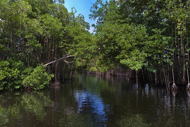 [PRIVATE] YS Falls, Black River, Pelican Bar - Entrance & Lunch - Timing, Pickup, and Physical Demands