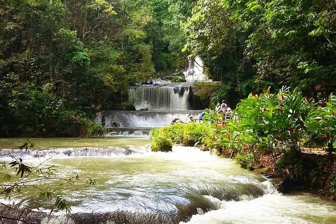 [PRIVATE] YS Falls, Black River, Pelican Bar - Entrance & Lunch - Who Will Get the Most From This Tour