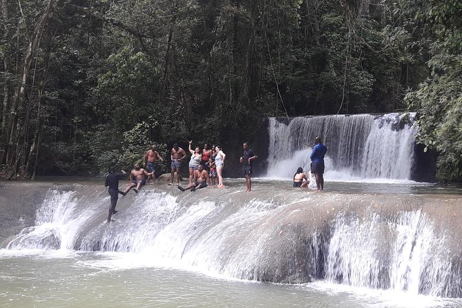 Private YS Falls Tour from Montego Bay - Two Hours Around the Waterfalls and Pools