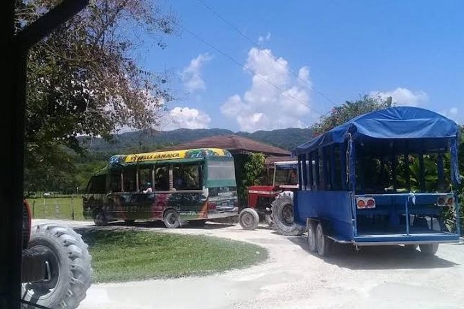 Private YS Falls Tour from Montego Bay - What to Pack for a Comfortable Visit