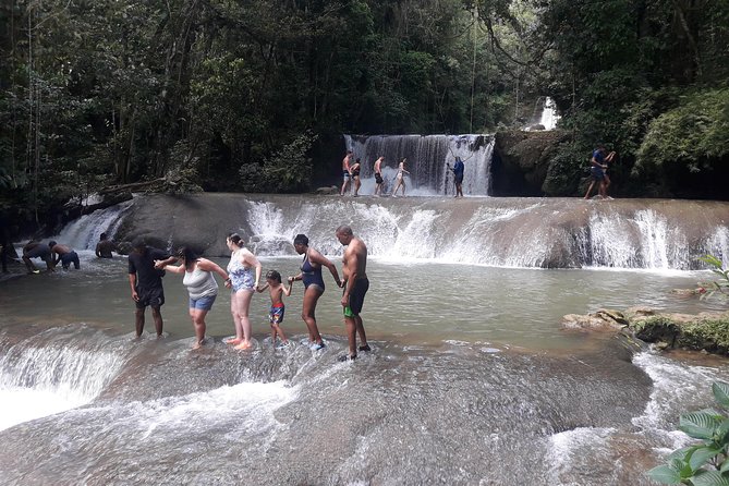 Private YS Falls Tour from Montego Bay - Who Will Enjoy This Tour Most