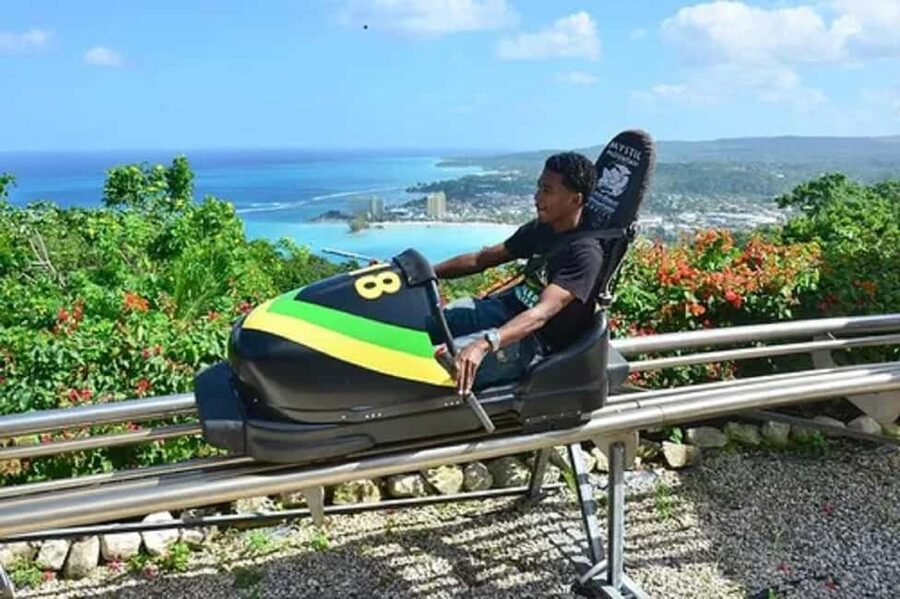 Rainforest Bobsled Mystic Mountain transportation - The bobsled ride and rainforest views