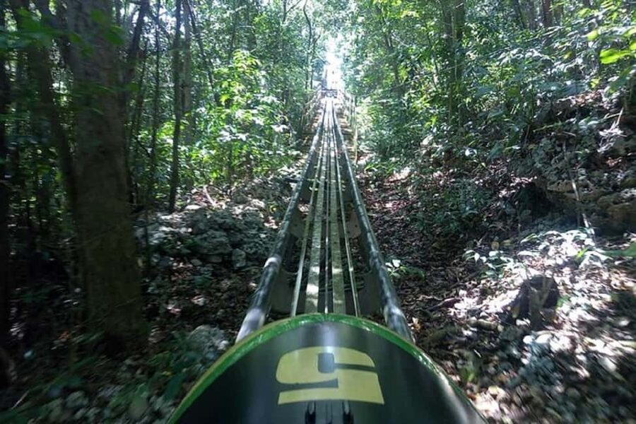 Rainforest Bobsled Mystic Mountain transportation - What the $208 price really buys