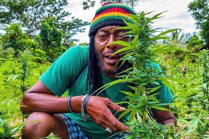 Rasta Safari Atv Experience and Rick's Cafe Private Tour - Key points to know before booking