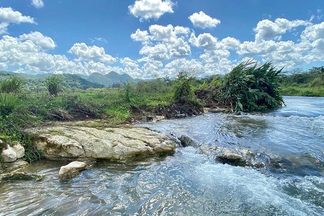 Rastafari Cultural ATV Community Experience from Montego Bay - Forest tracks, farms, and roadside fruit