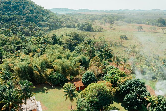 Rastafari Cultural ATV Community Experience from Montego Bay - The mineral pool and Roaring River