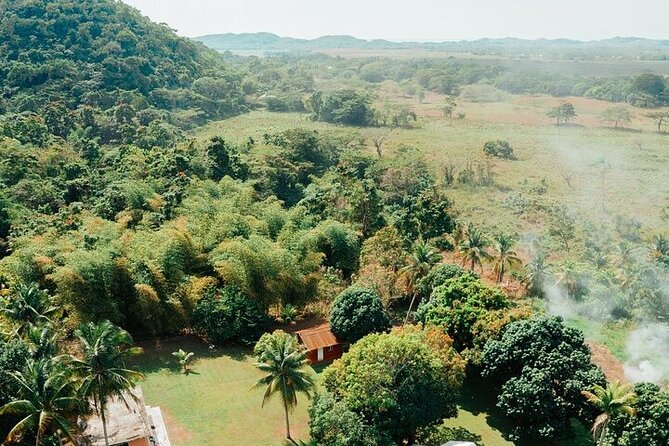 Rastafari Cultural ATV Community Experience from Negril - Pickup Times and the Three-Hour Flow