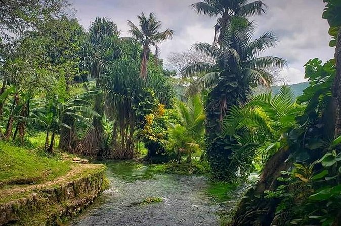 Rastafari Cultural ATV Community Experience from Negril - Lunch, Music, and a Taste of the Property