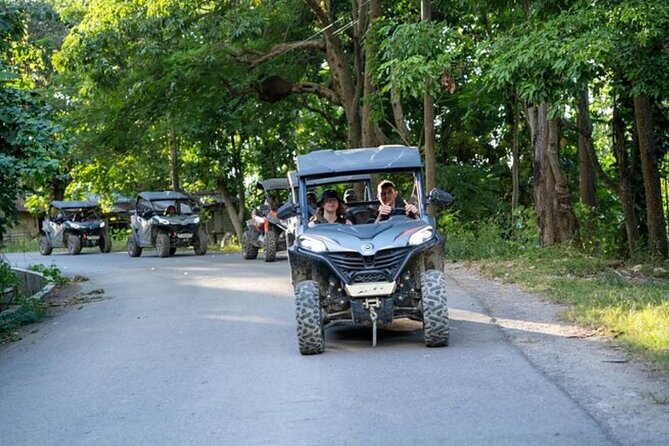 Rastafari Cultural ATV Community Experience from Negril - Local Stories, Fruit Trees, and Rural Jamaica