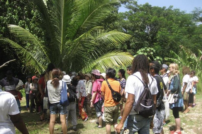 Rastafari Indigenous Village Tour - Thirty minutes of Congo drumming and chanting