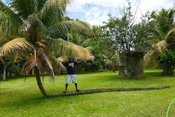 Rastasafari Experience ATV Adventure and Local Day Out - What you learn about Rastafari and medicinal herbs