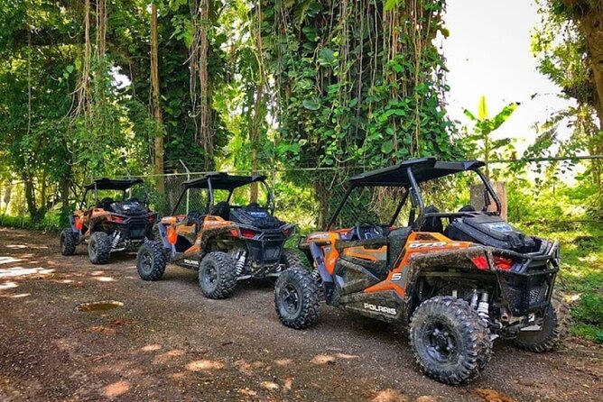 Rastasafari Experience ATV Adventure and Local Day Out - Arriving at the Rastasafari village