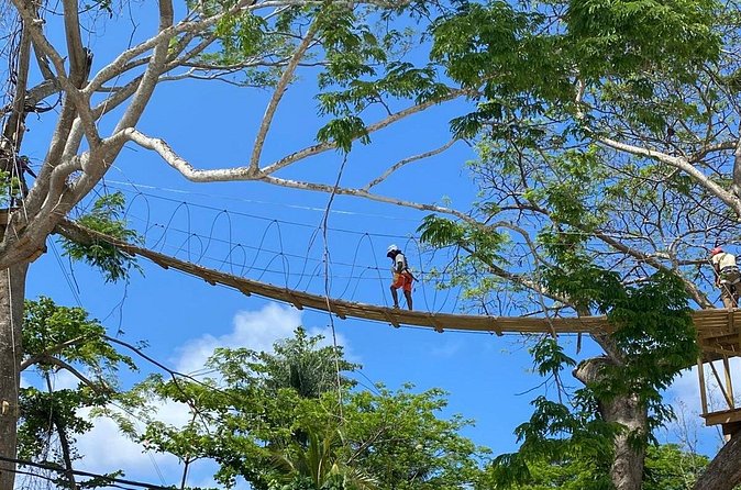 Rio Nuevo Village Ziplining - The three zip lines and the bridge