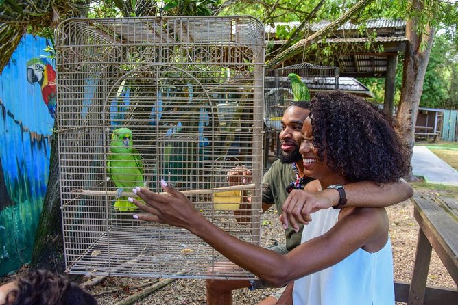 Rockland Bird Sanctuary plus Montego Bay Highlights & Shopping Private Tour - Key things to know before you book